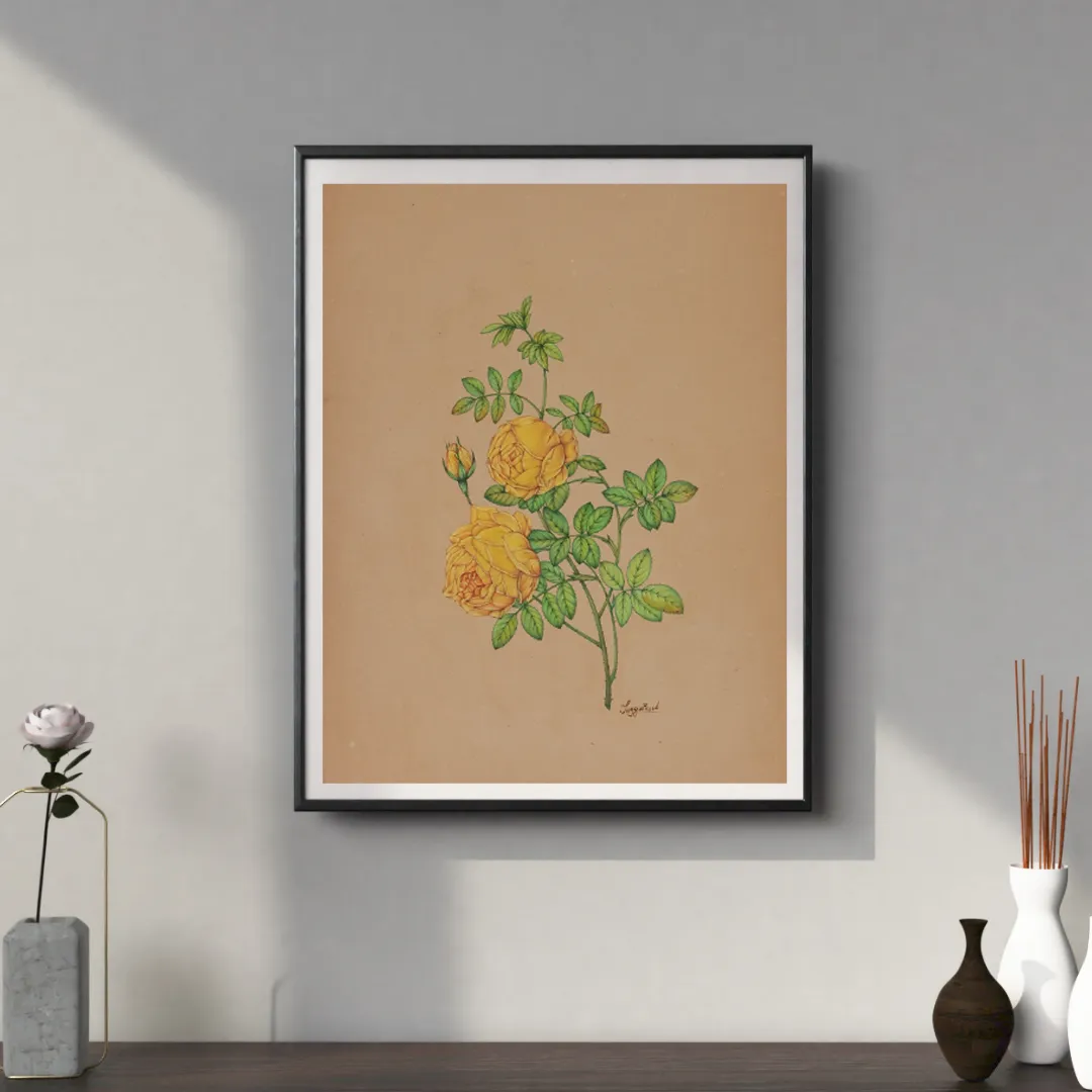 Yellow Rose Study