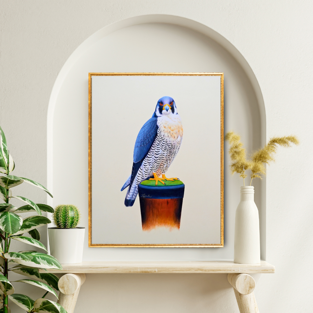 Sovereignty: Falcon Folio 1 Product Image