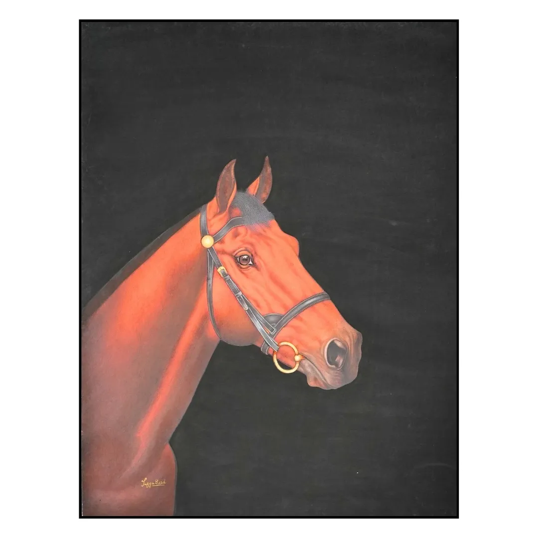 Equine Majesty II