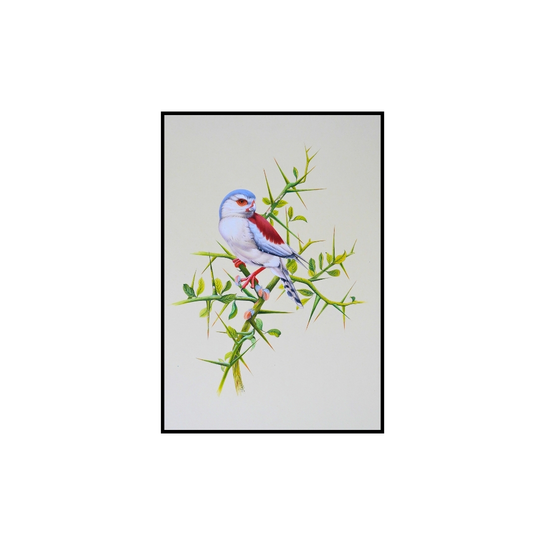 Thorn Sentinel by Jaggu Prasad