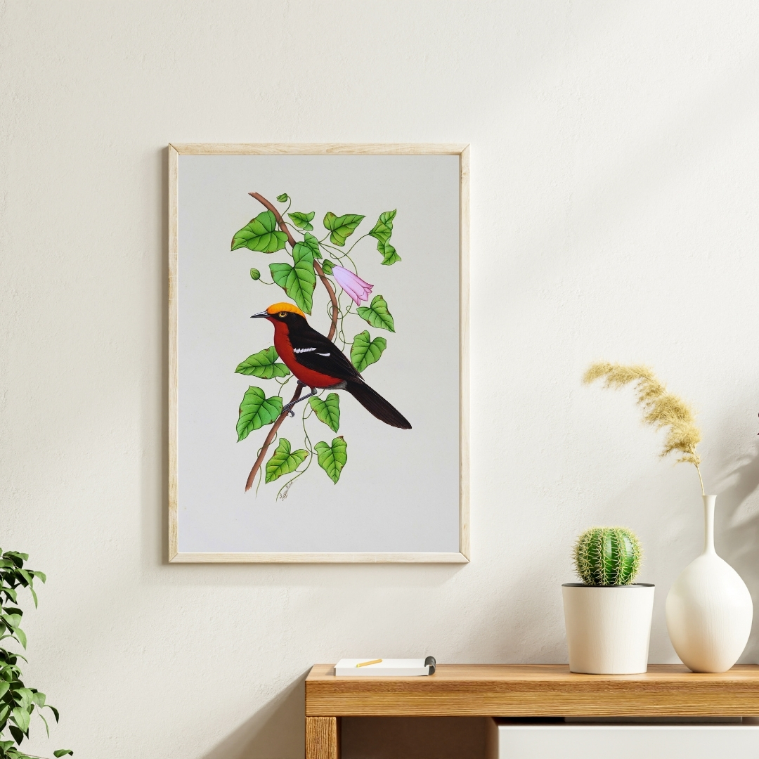 Crimson Crest by Jaggu Prasad