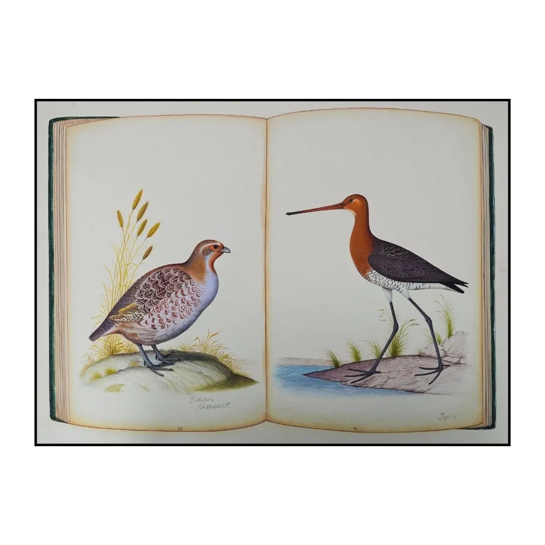 The Naturalists Journal