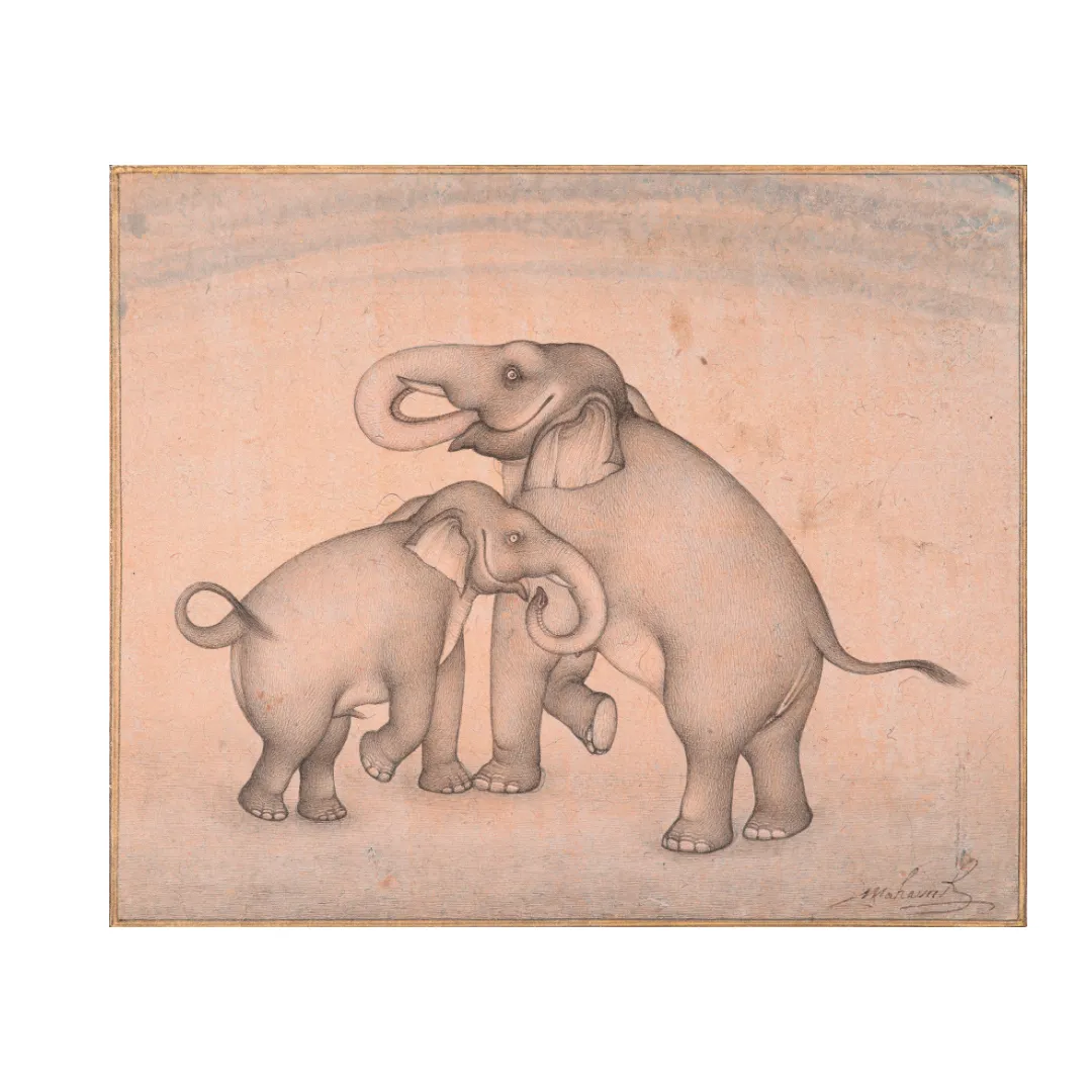 Gentle Bond of the Elephant Pair