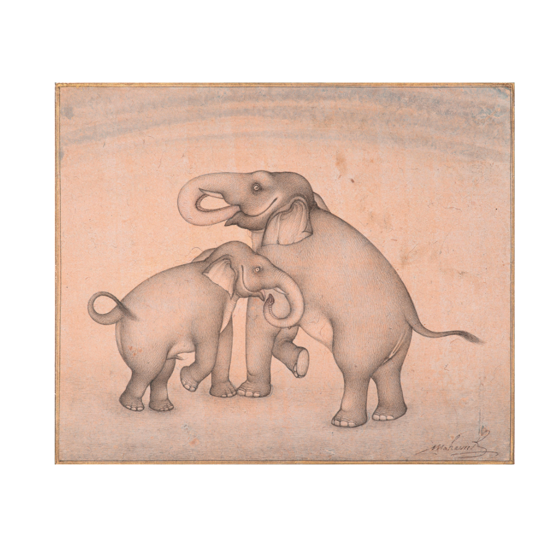 Gentle Bond of the Elephant Pair