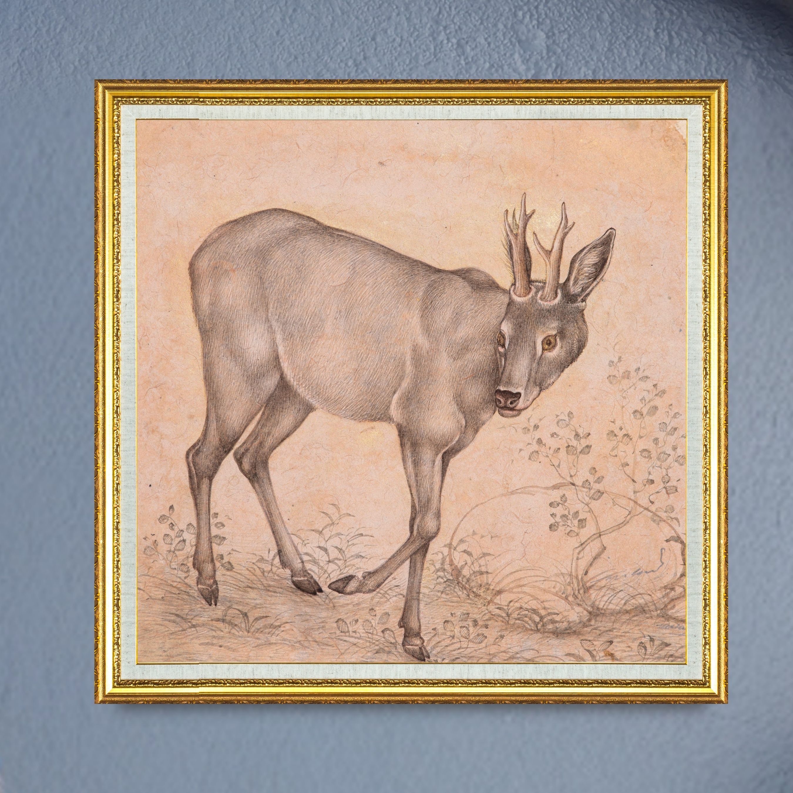Gentle Step of the Young Stag