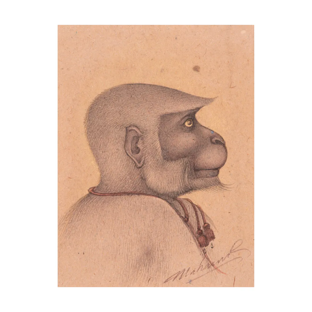 Stillness of the Thoughtful Monkey