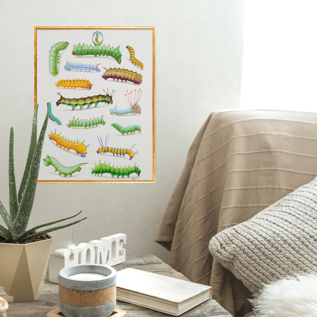 Playful Patterns Product Image