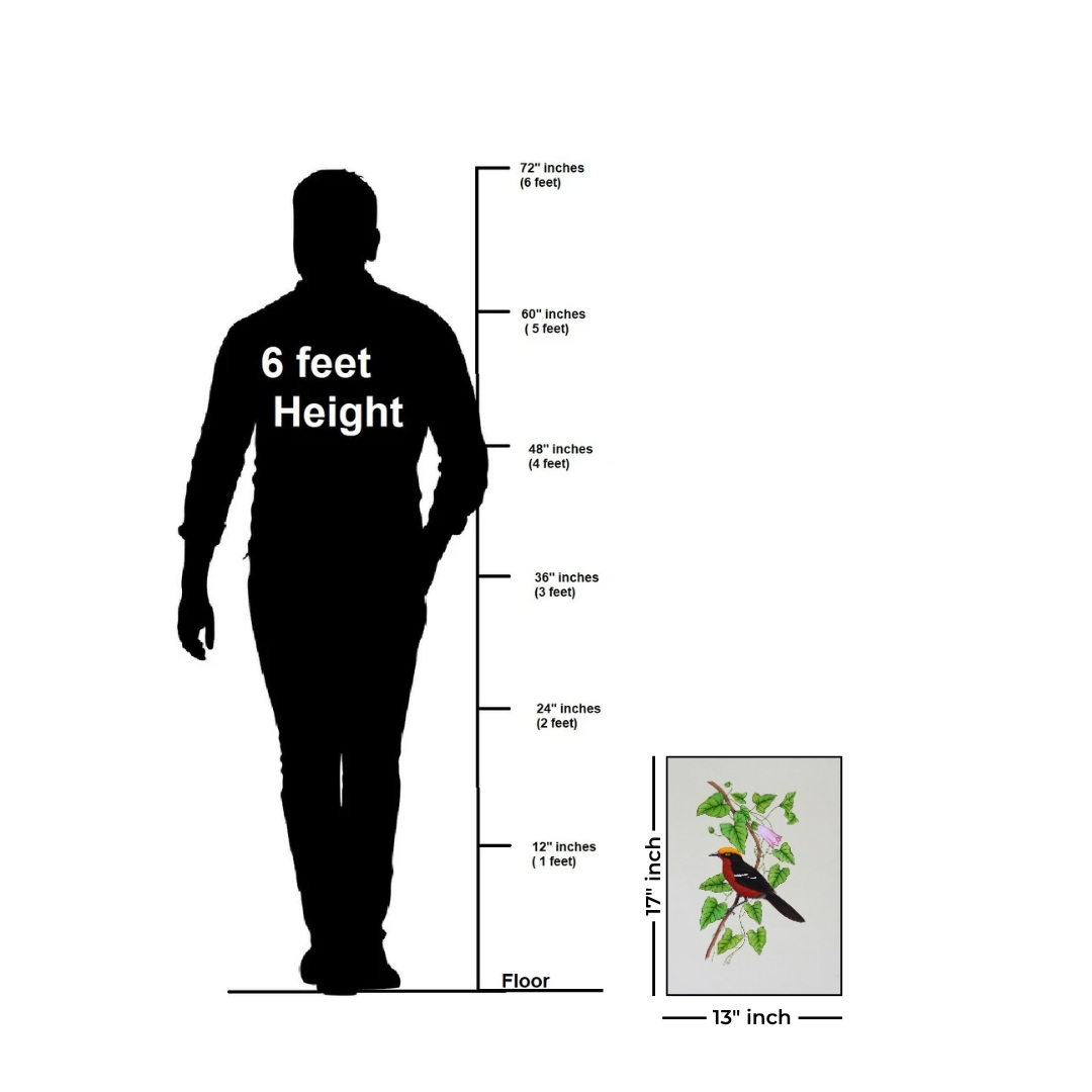 Crimson Crest by Jaggu Prasad