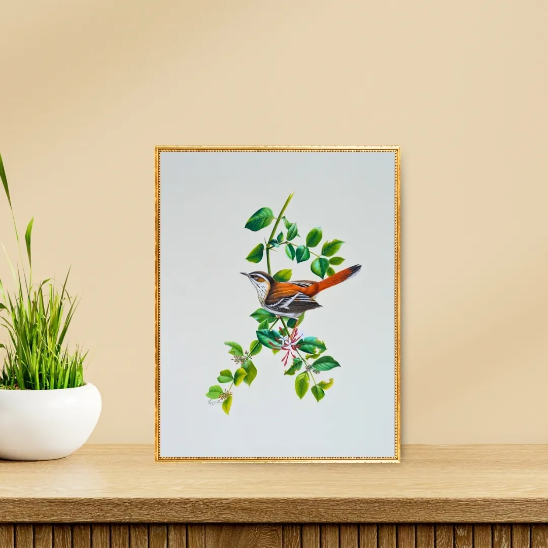 Rustleaf Whisper 