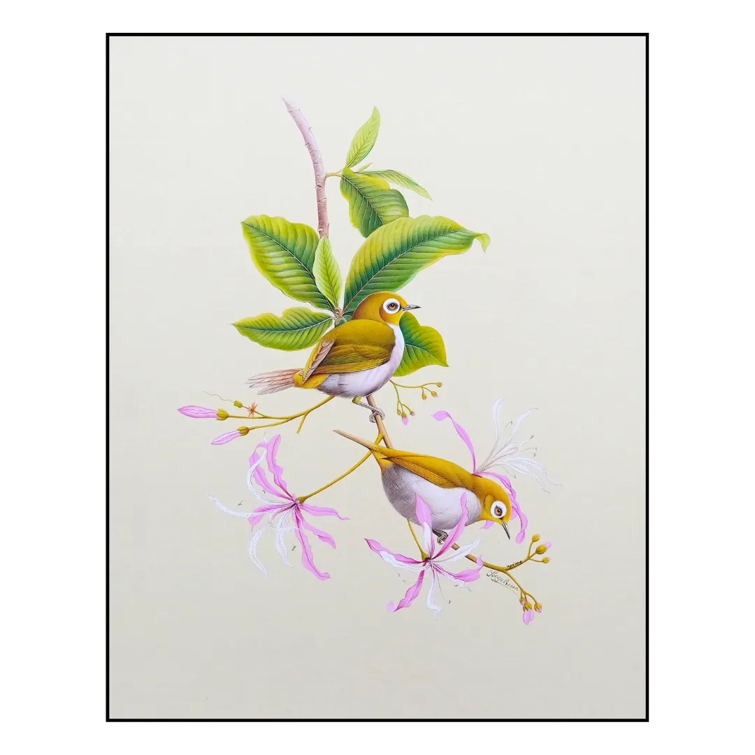 Feathers & Blossoms