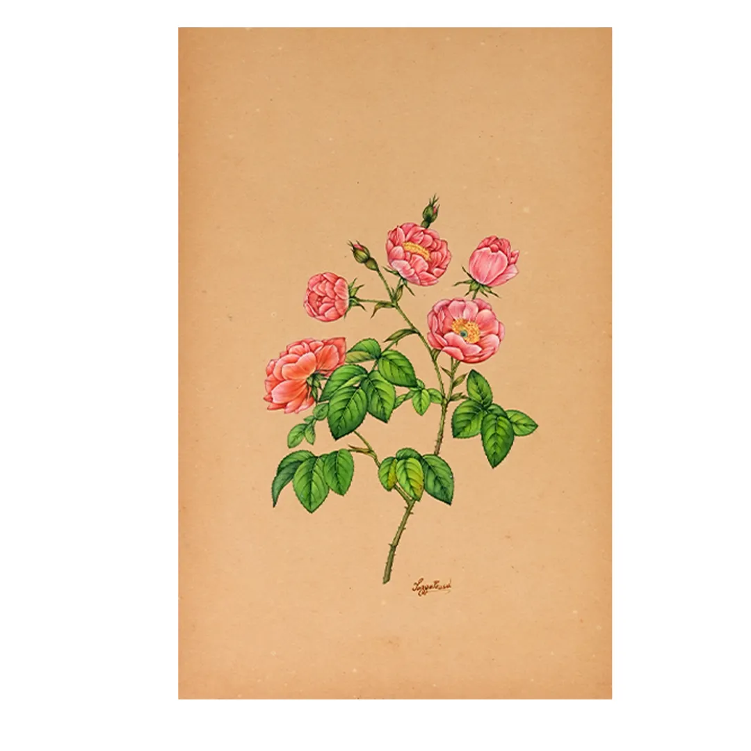 Cluster of Pink Roses