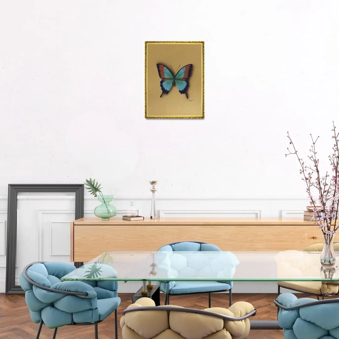 Aqua Symphony 