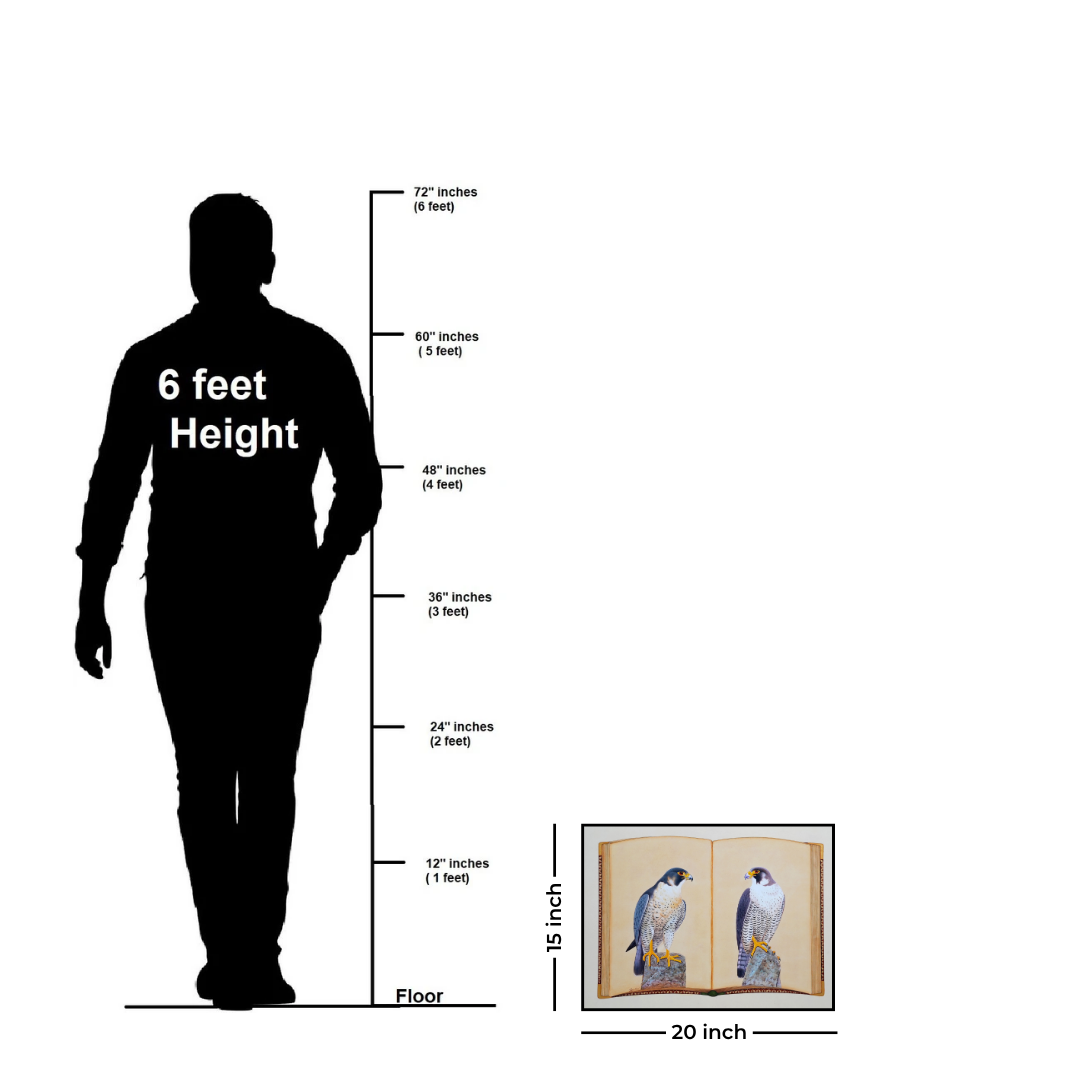 Falcon Folio - Edition 1