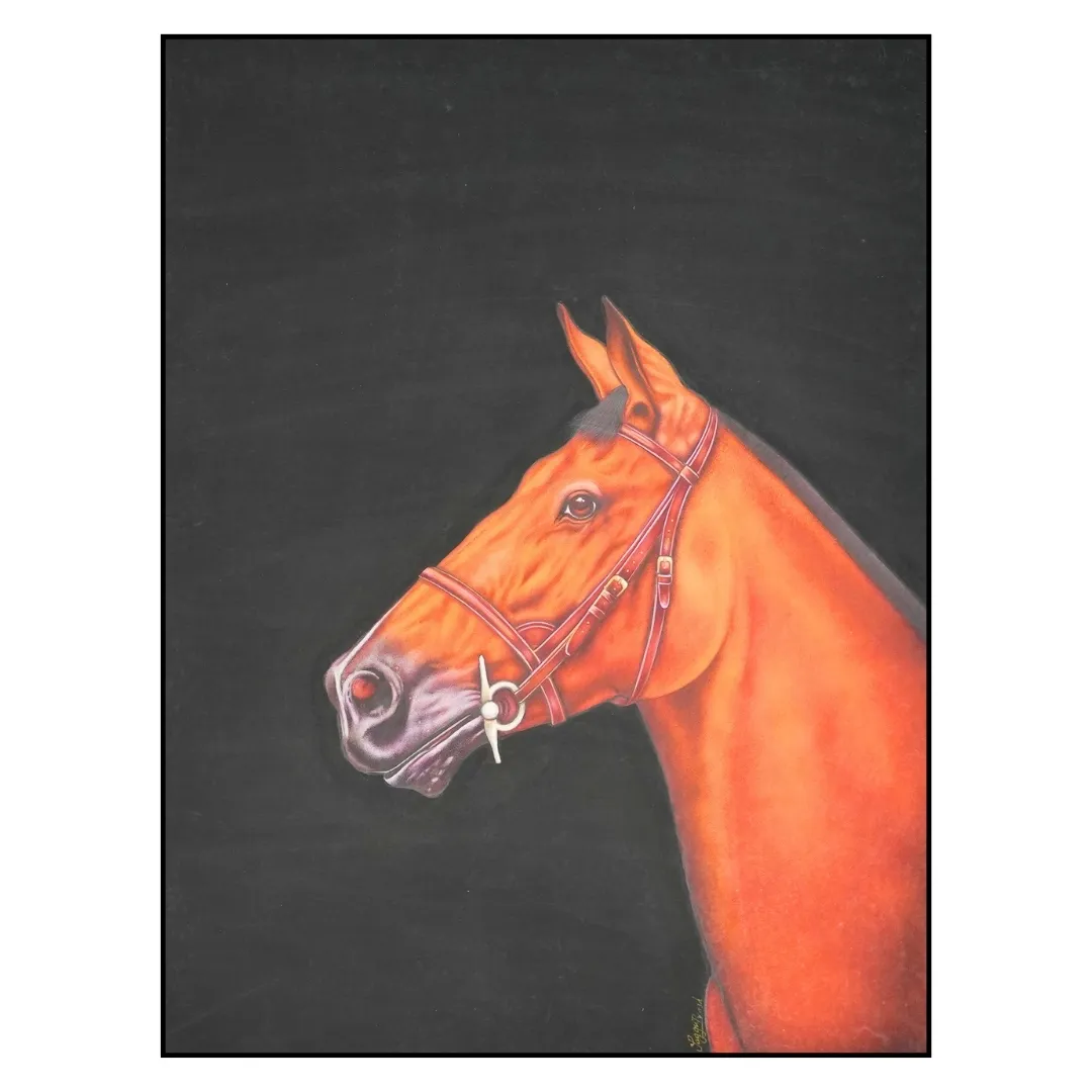 Equine Grace III