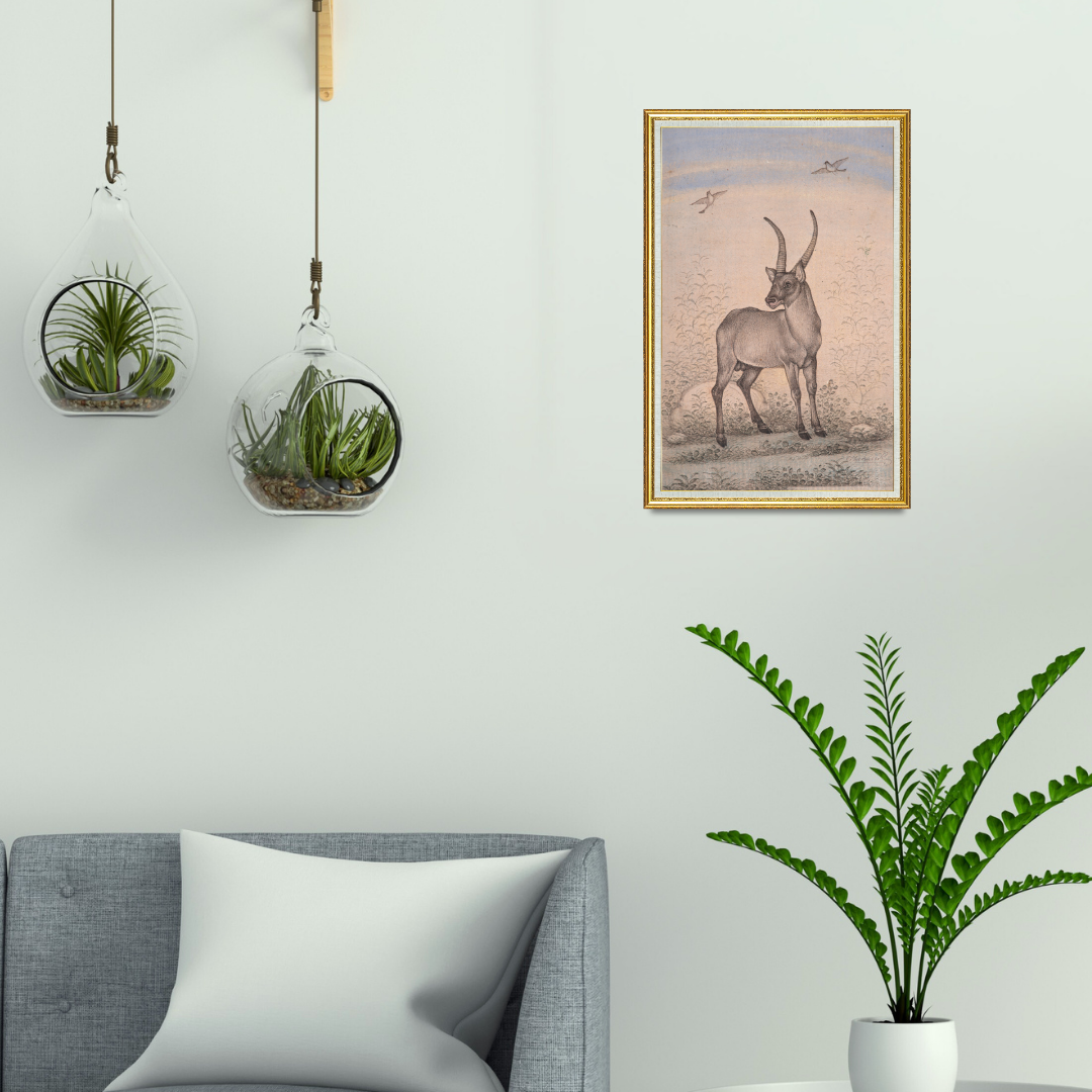 Quiet Stance Under Open Skies