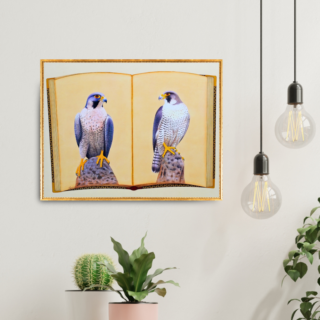 Falcon Folio - Edition 3