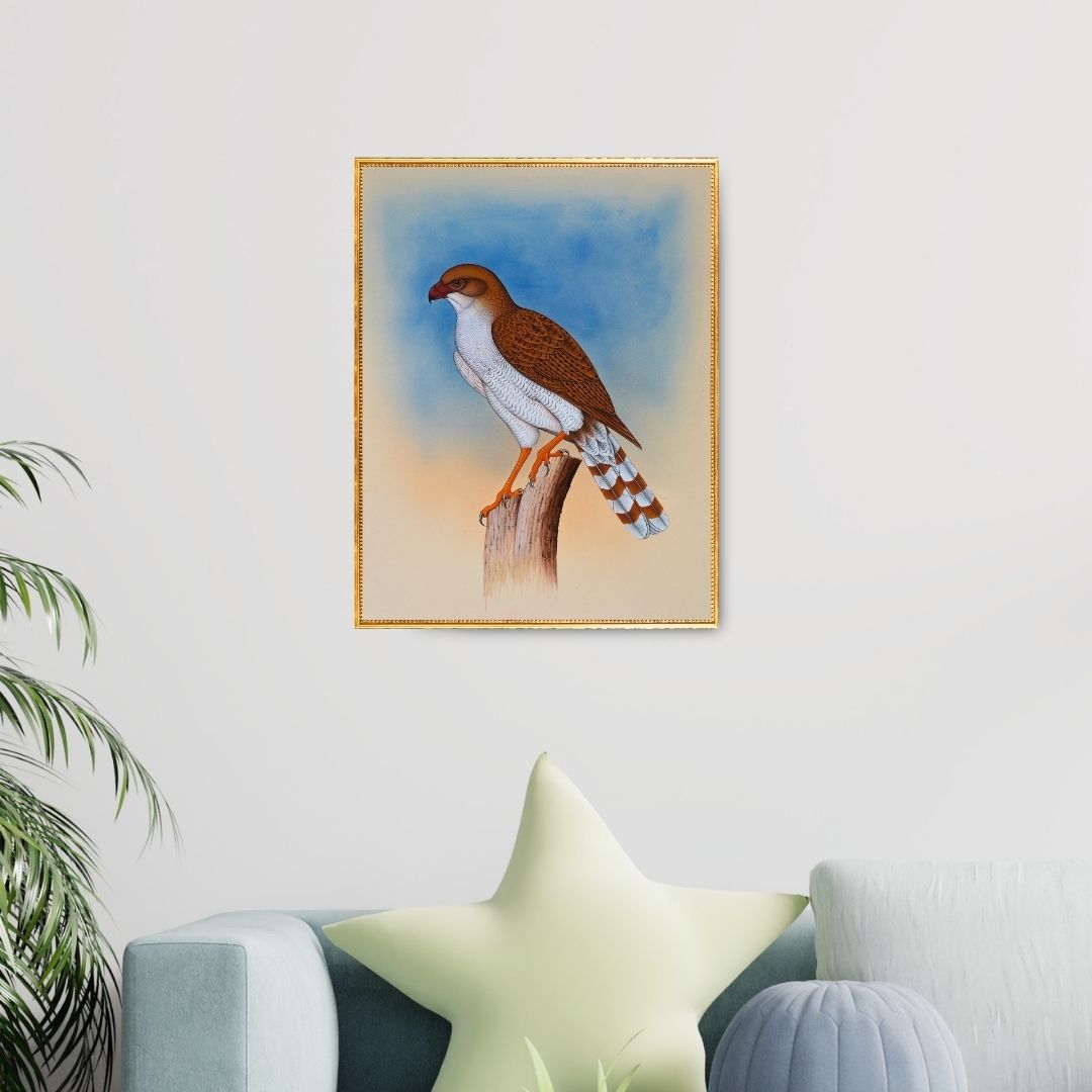 Sky Watcher Product Image