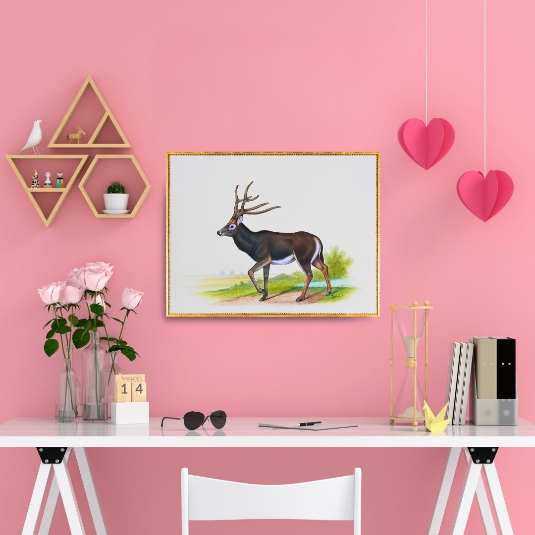 Majestic Grace  Product Image