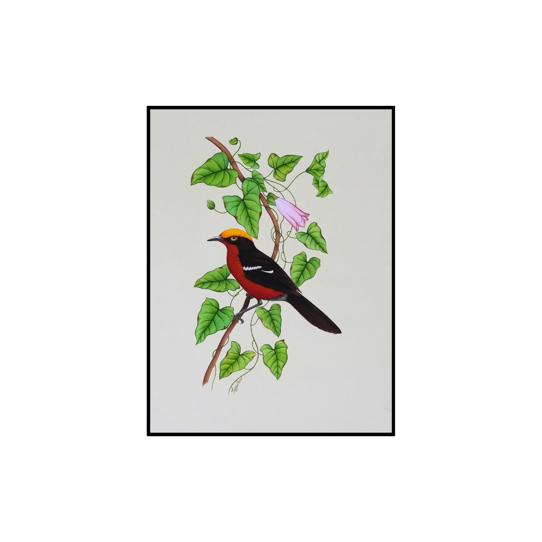 Crimson Crest by Jaggu Prasad