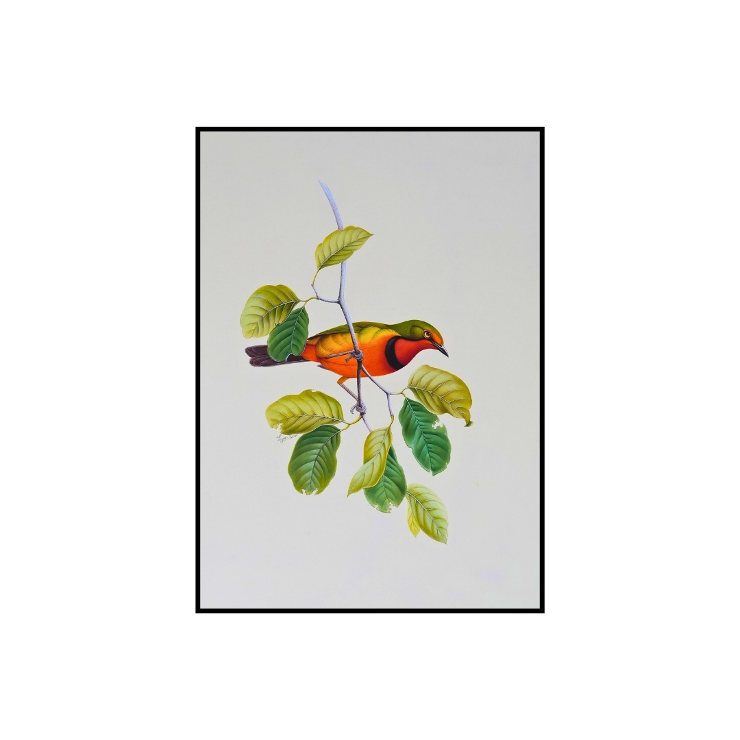 Amber Rest by Jaggu Prasad