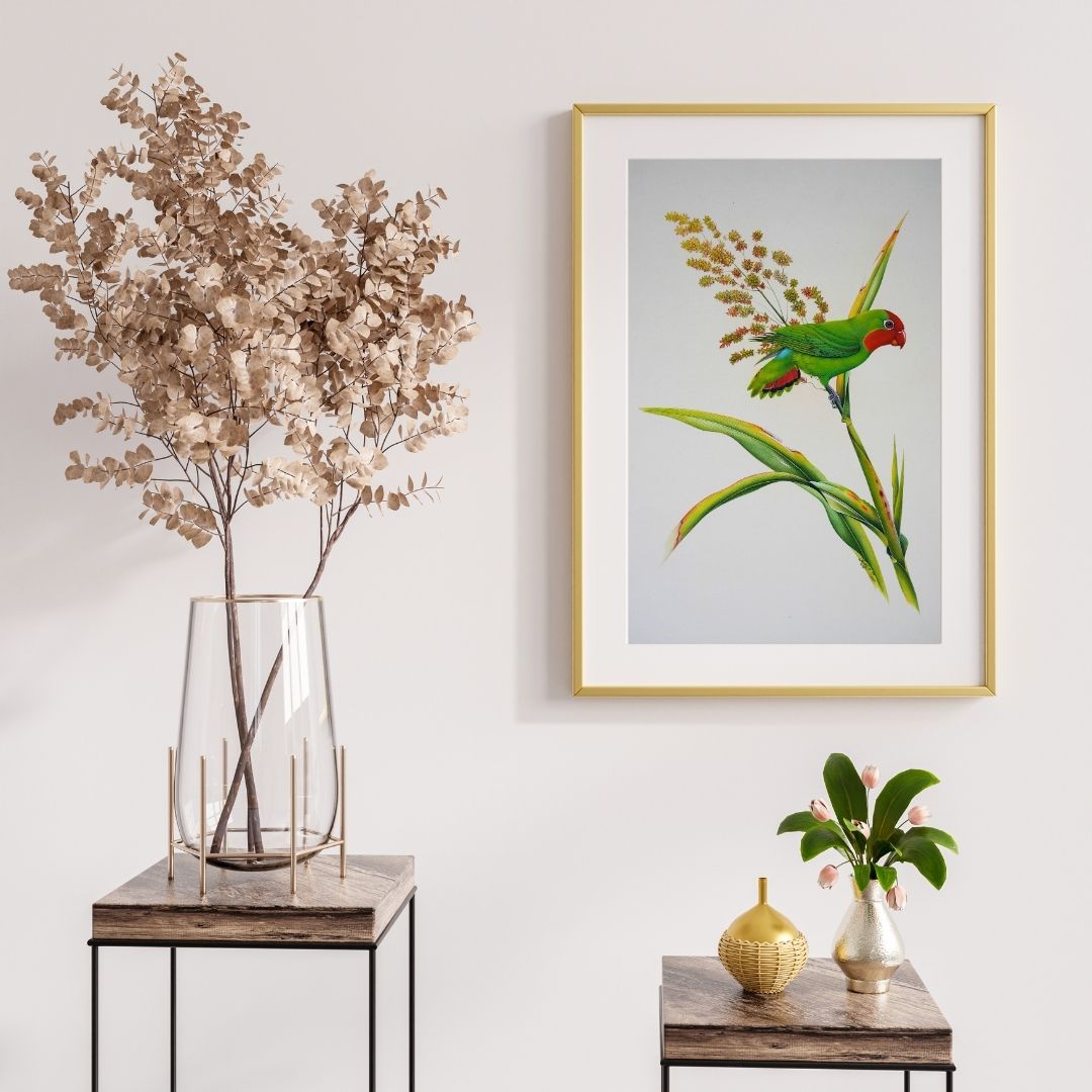 Green Parakeet by Jaggu Prasad Product Image