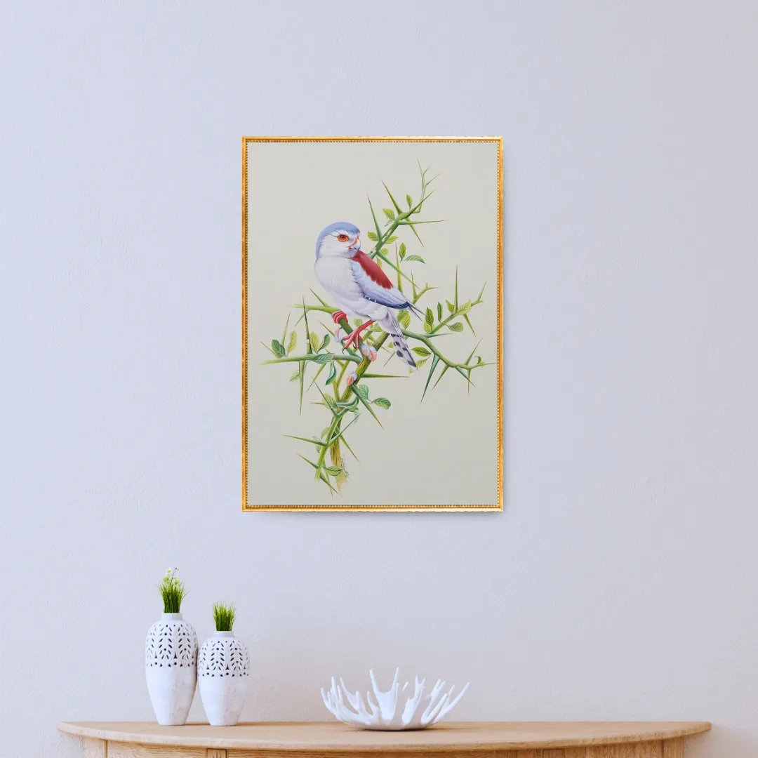 Bride of the Breeze