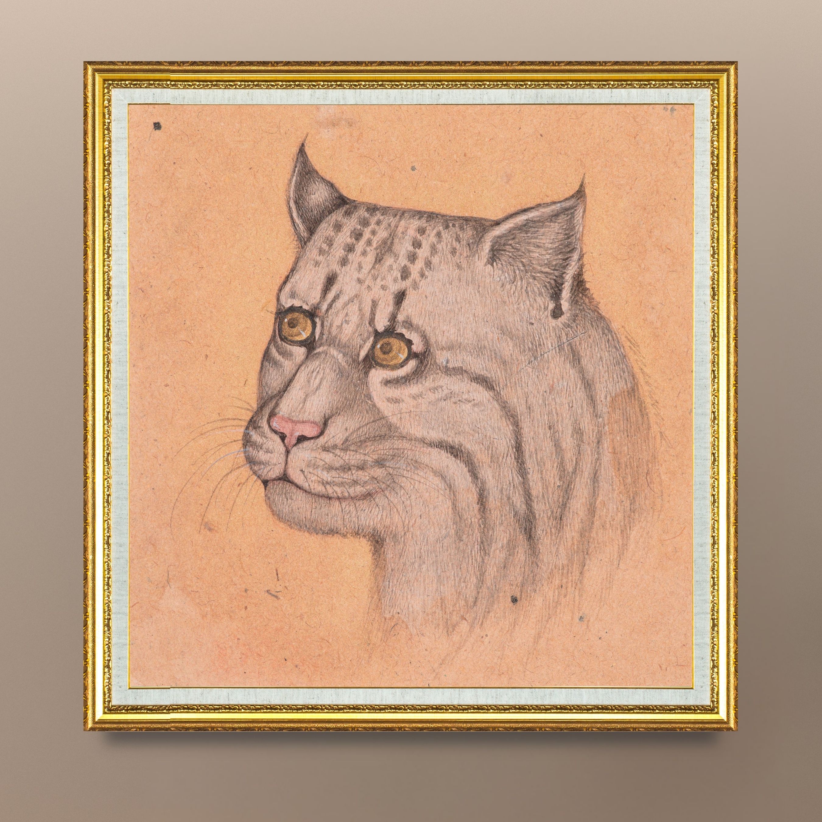 Soft Gaze of the Quiet Wild Cat