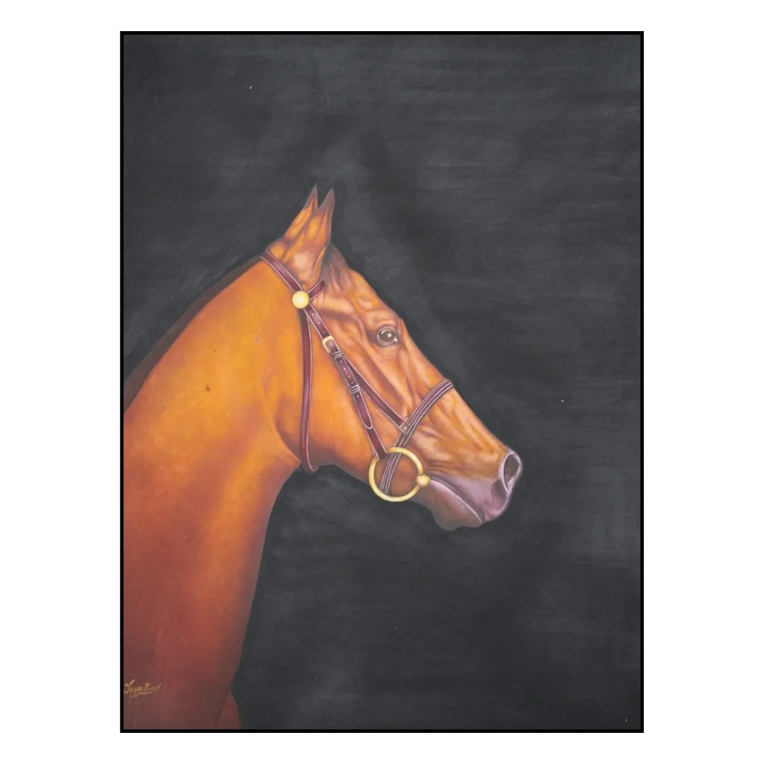 Equine Spirit 
