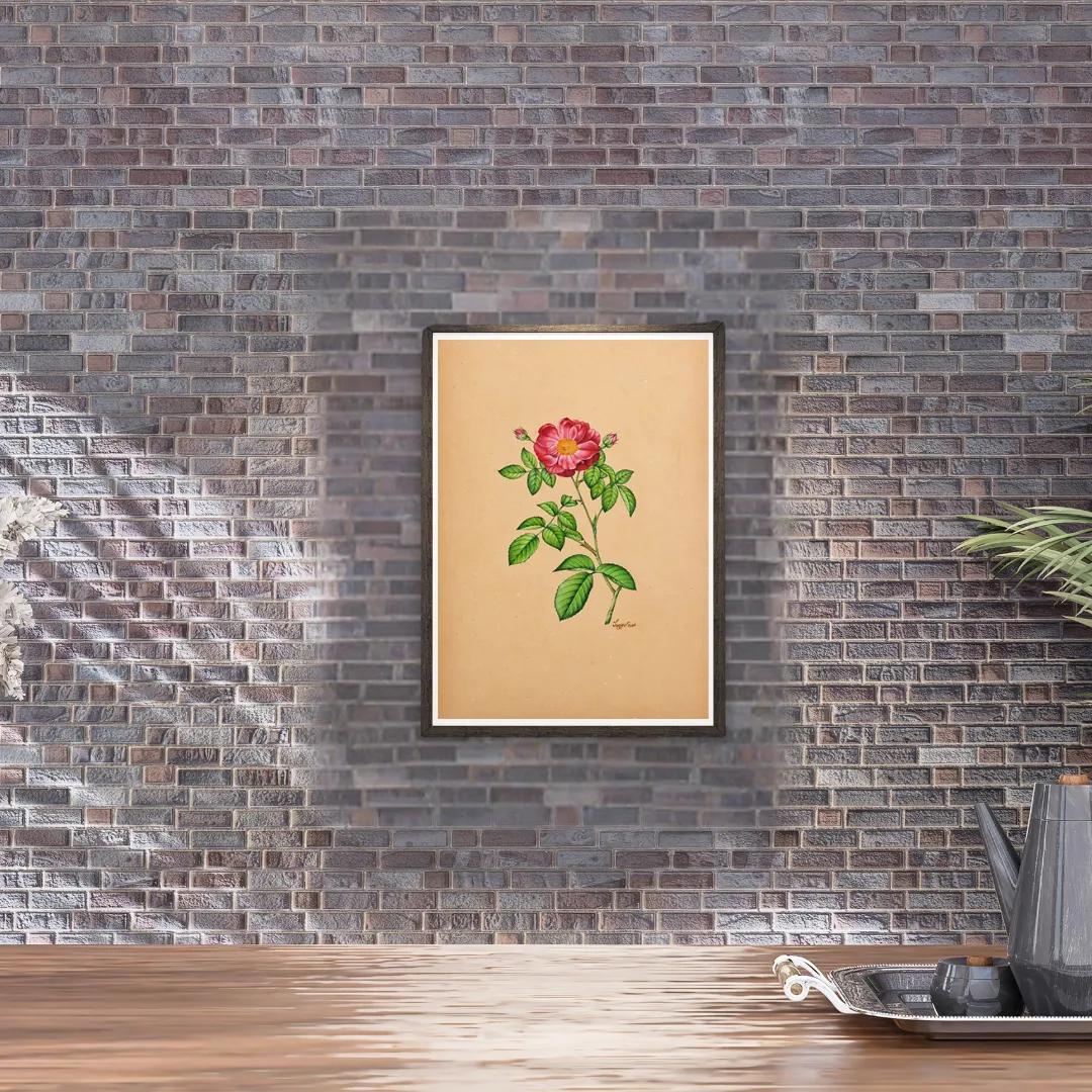 Damask Rose Reverie