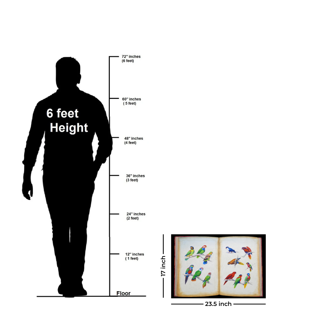 Avian Chronicle - Folio 1