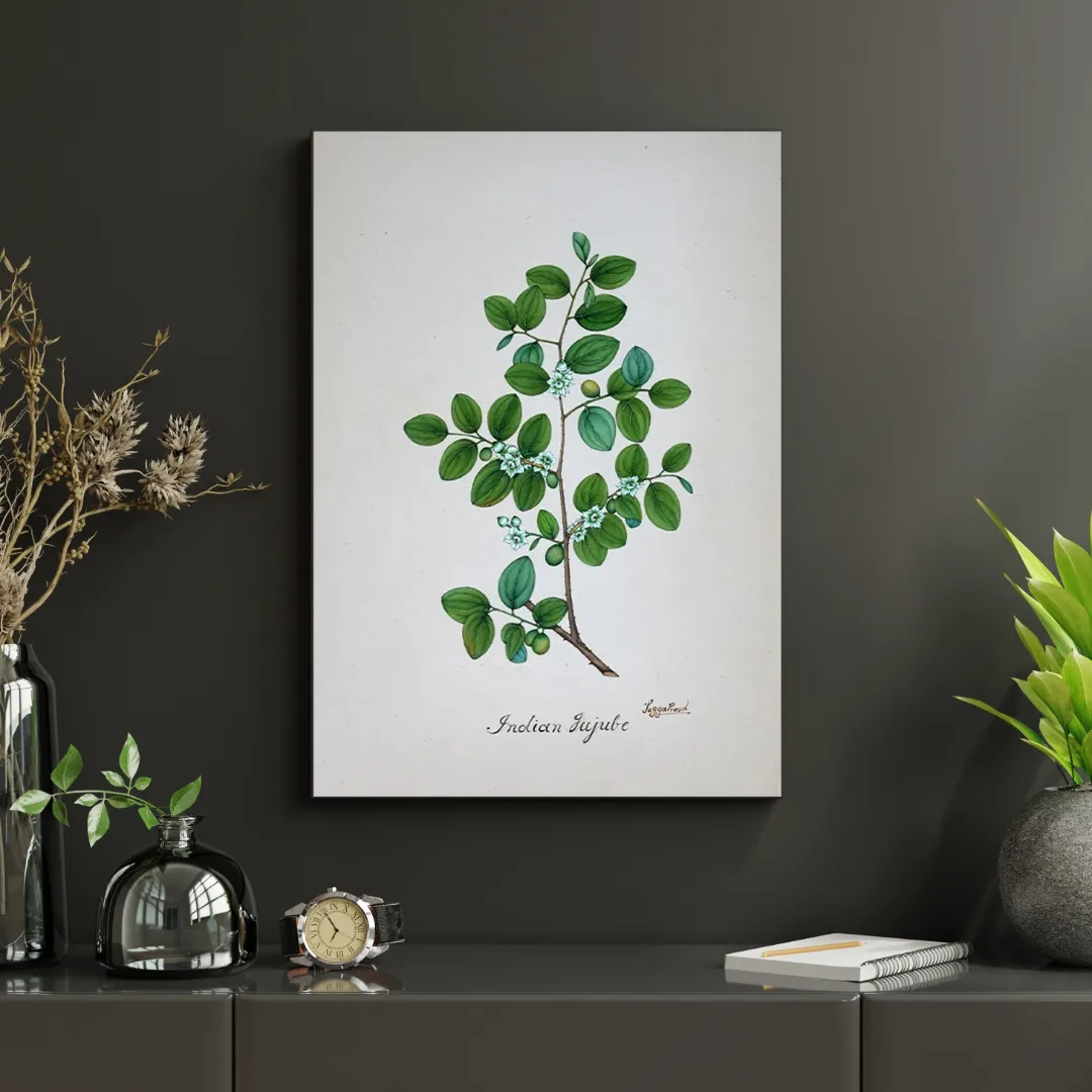 Indian Rose Elegy