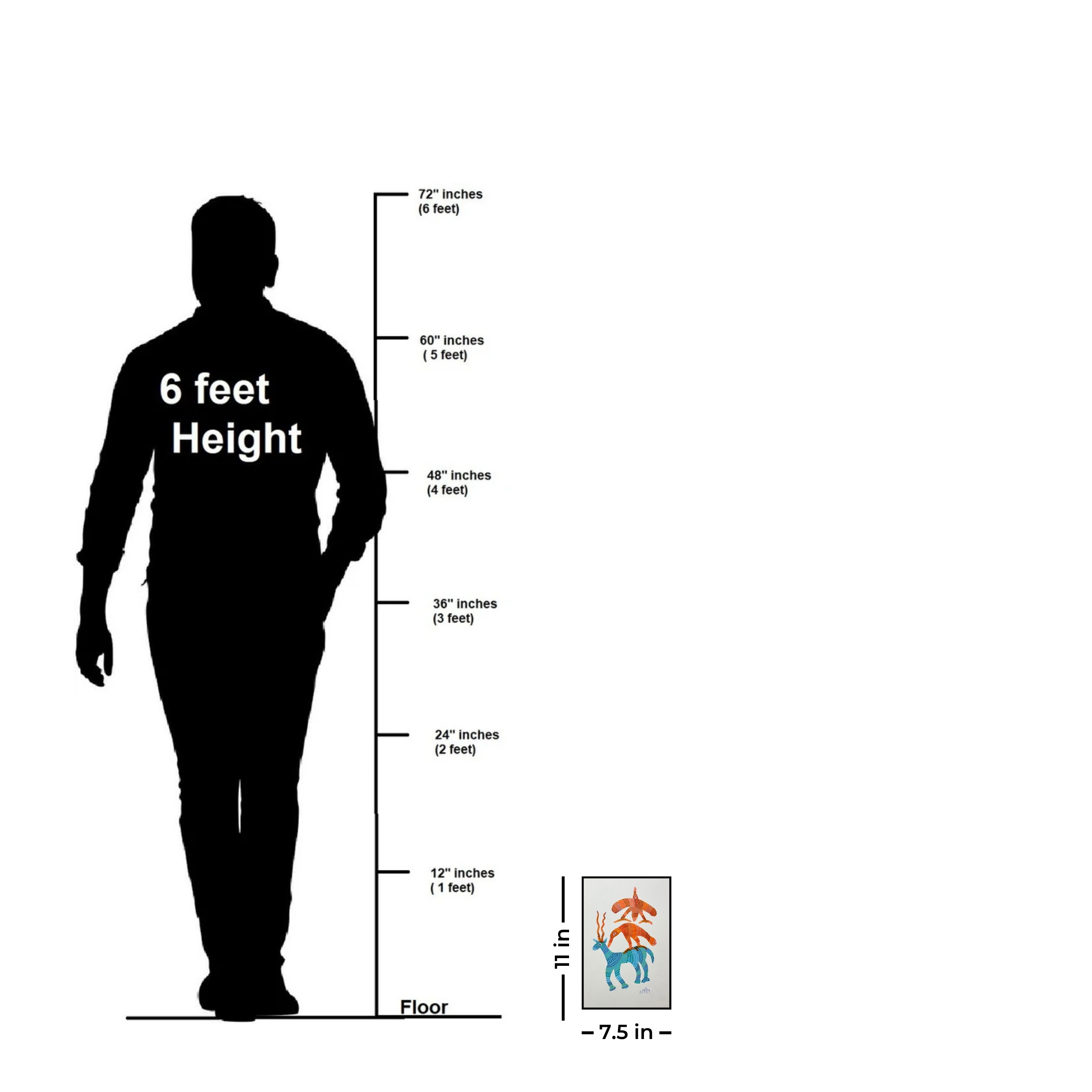 Inter-Relationship of Animals