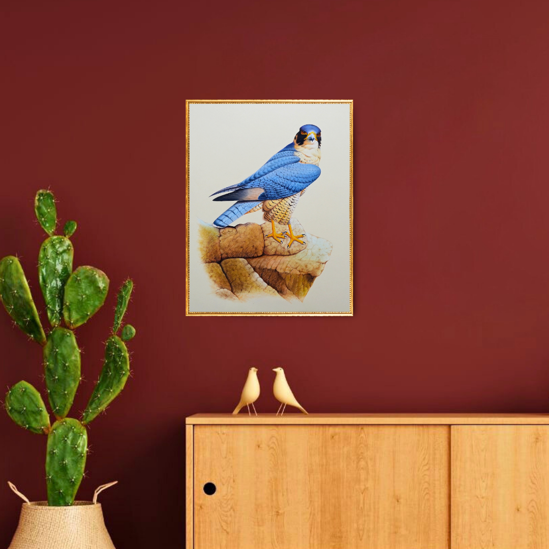 The Legacy: Falcon Folio 3