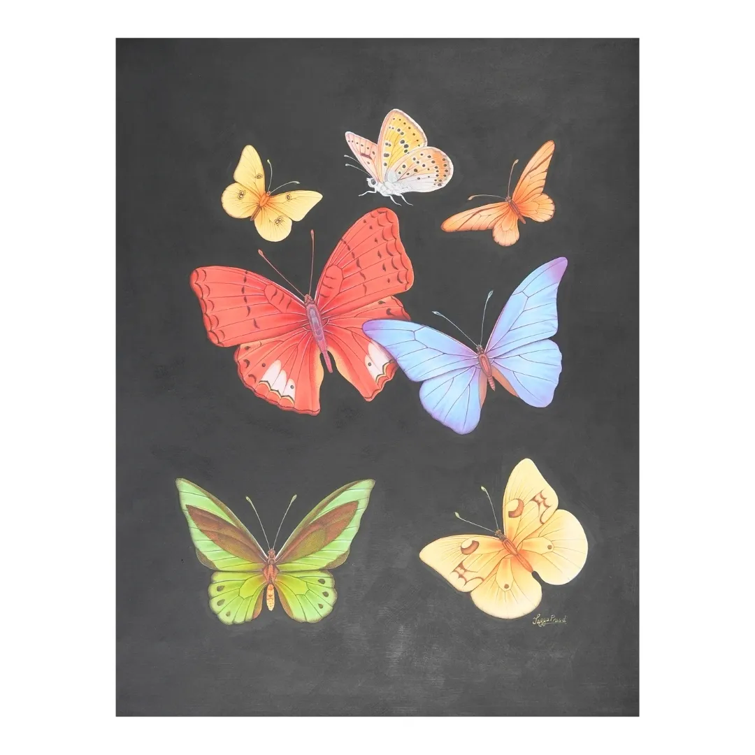 Wings of Harmony