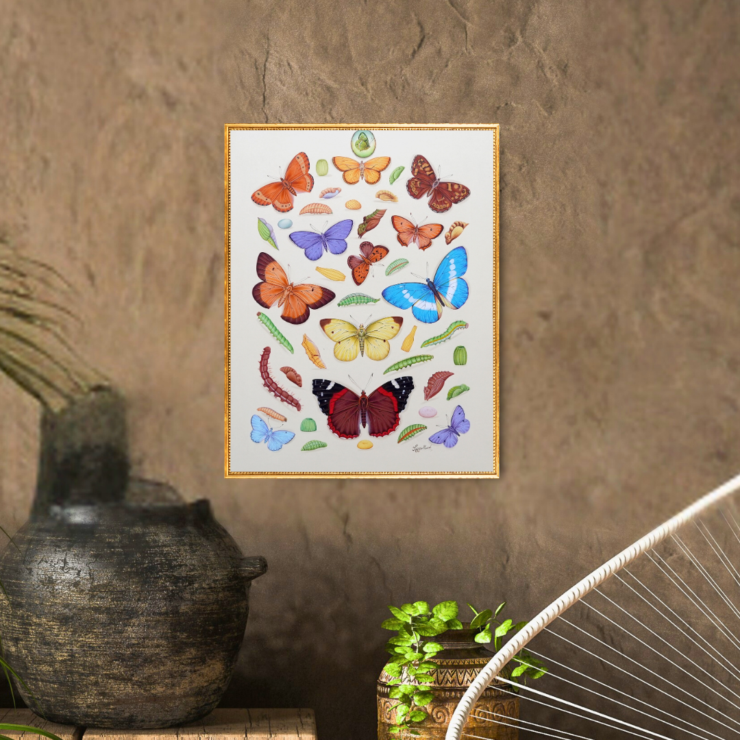 The Spring’s Flight