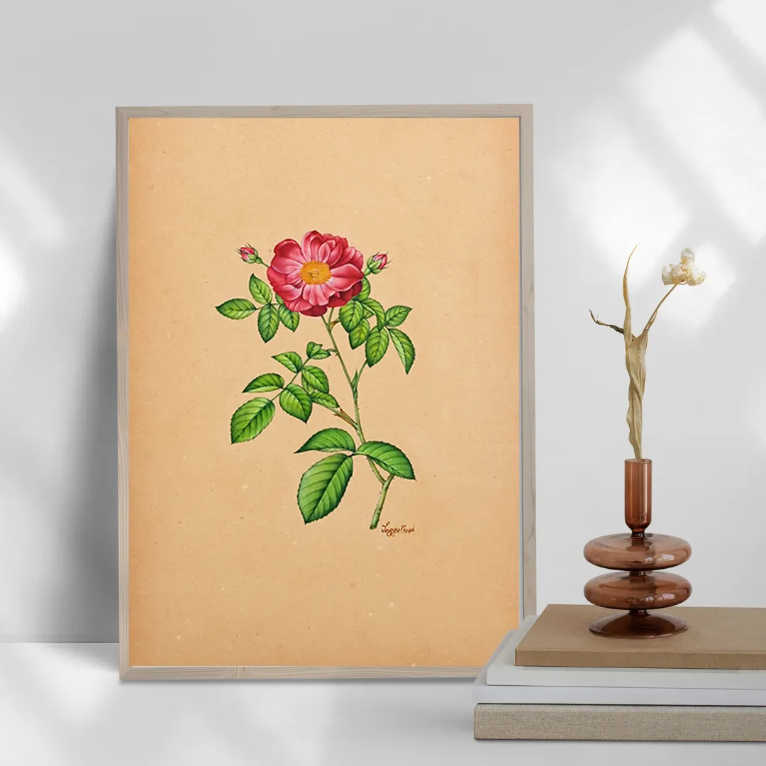 Damask Rose Reverie