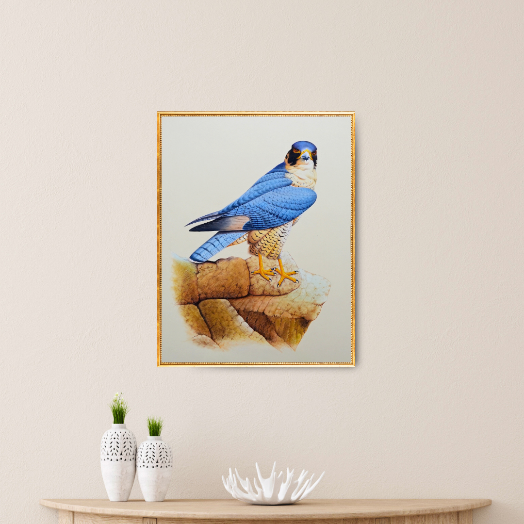 The Legacy: Falcon Folio 3