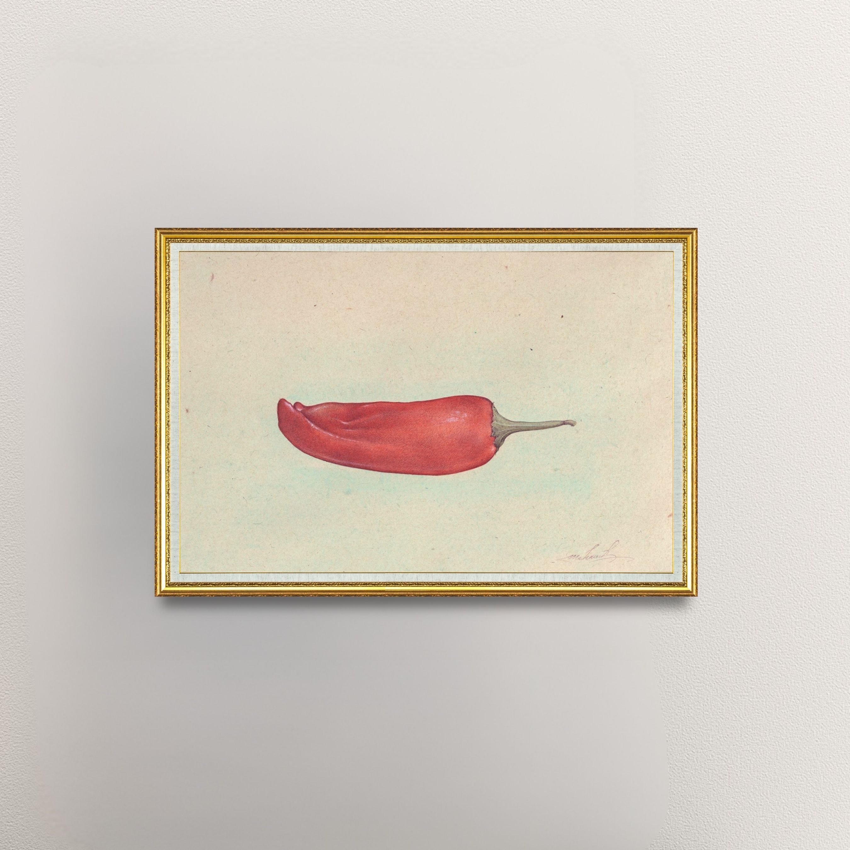 Chili Pepper (Capsicum Frutescens)