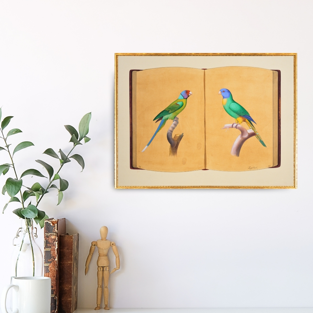 Reflections in Green