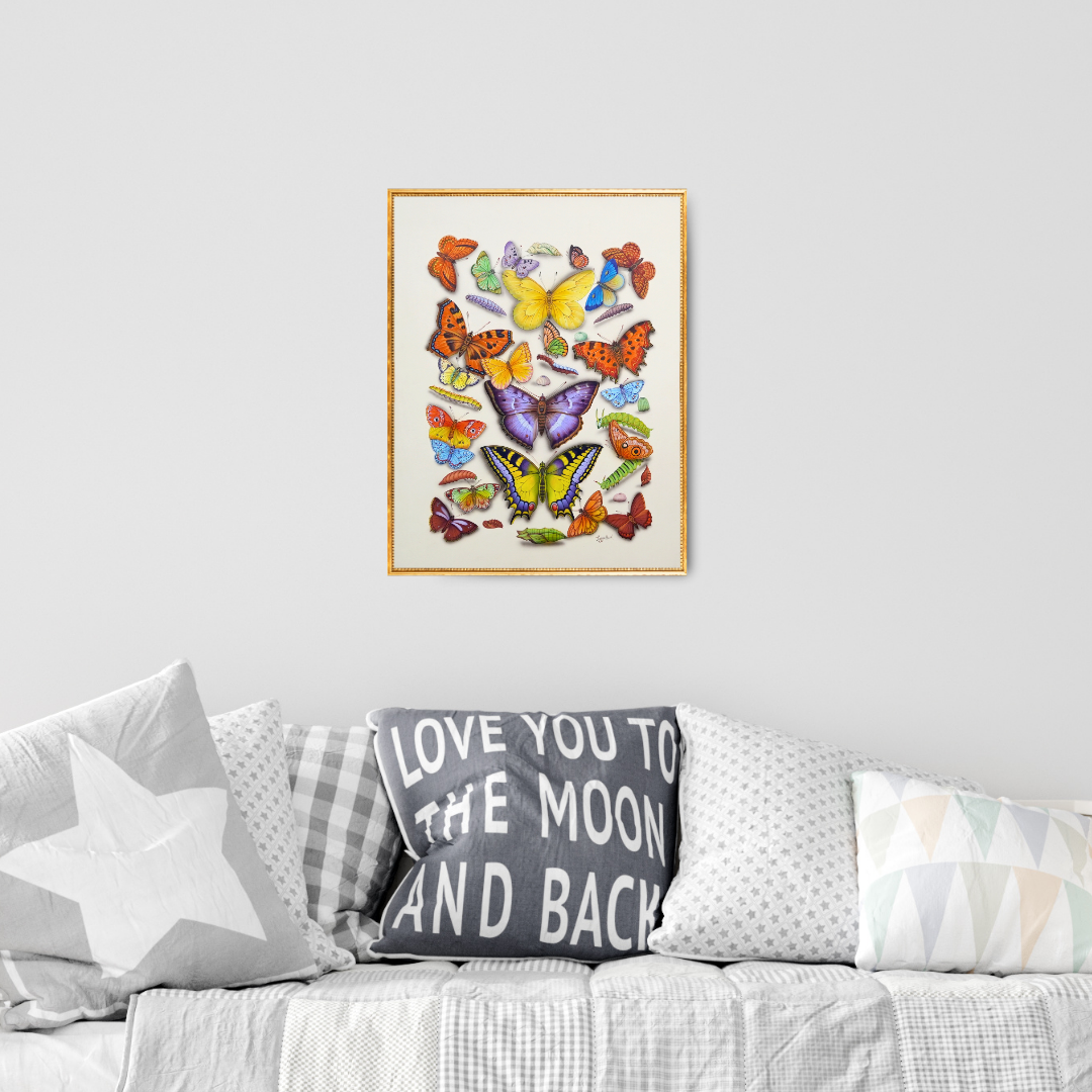 Choreography of Colours