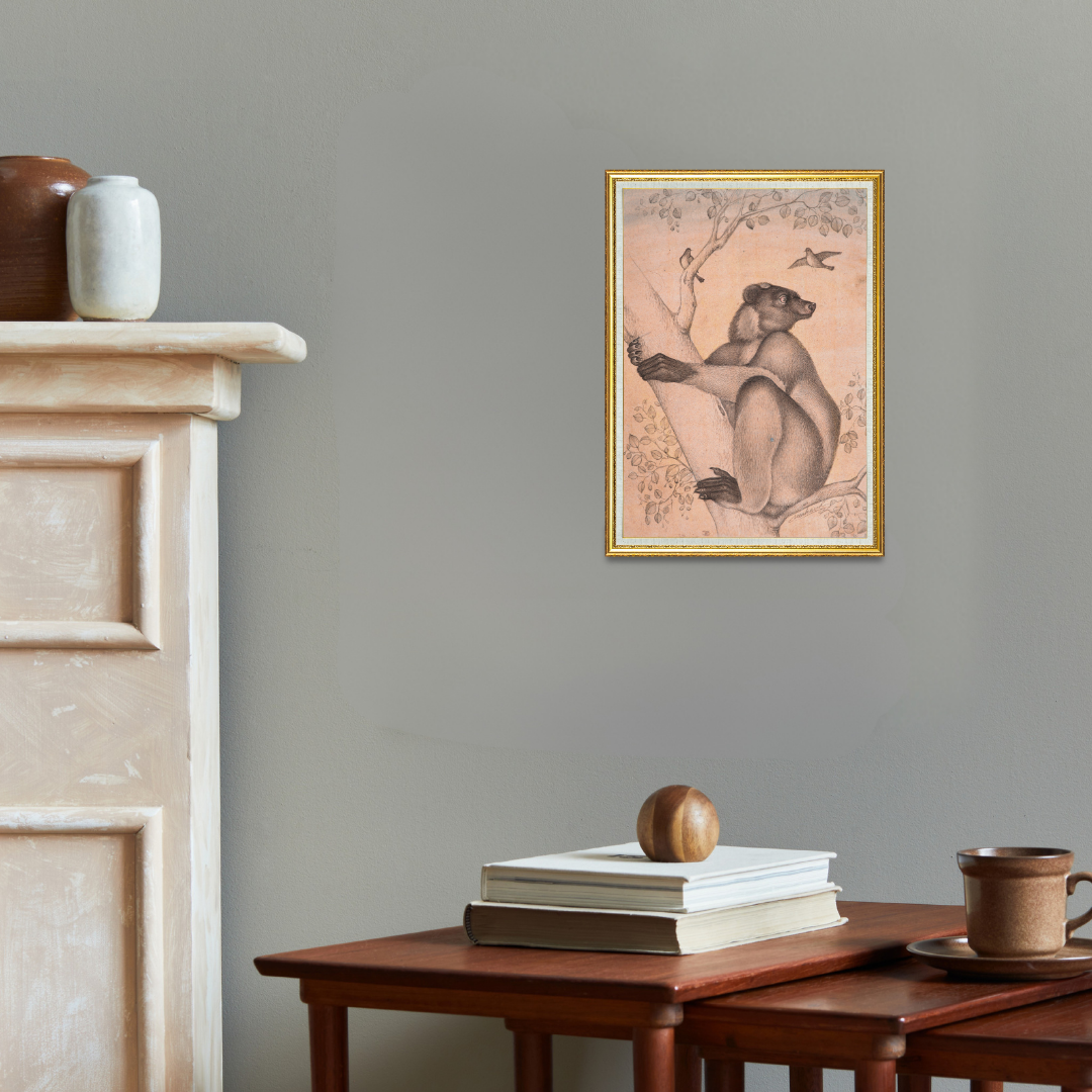 Watchful Climb of the Forest Bear