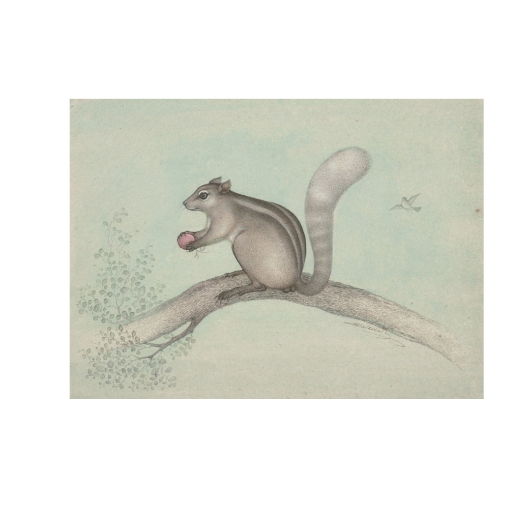 Gentle Branch Gathering