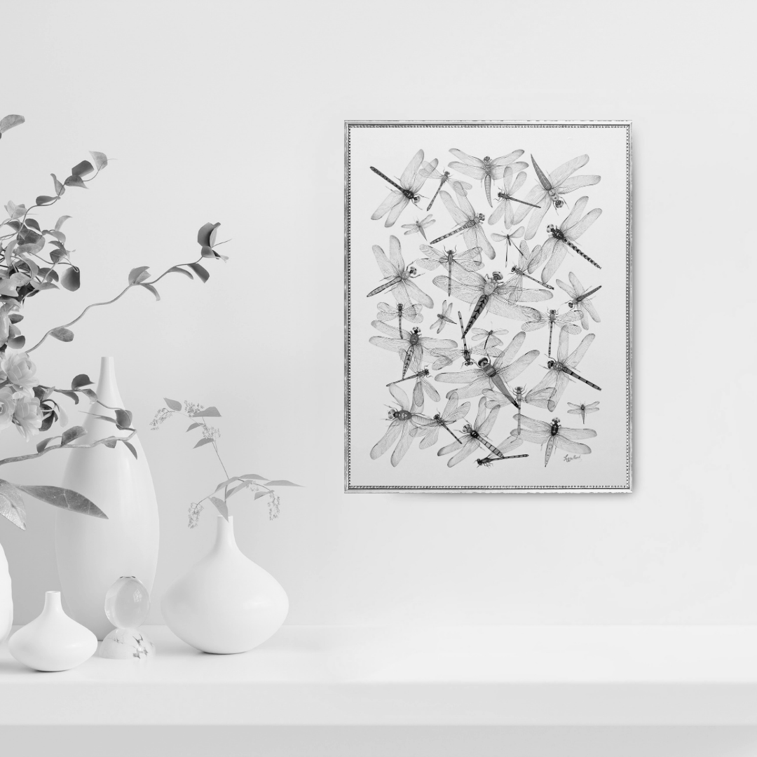 Fleeting Spark: Fireflies 3