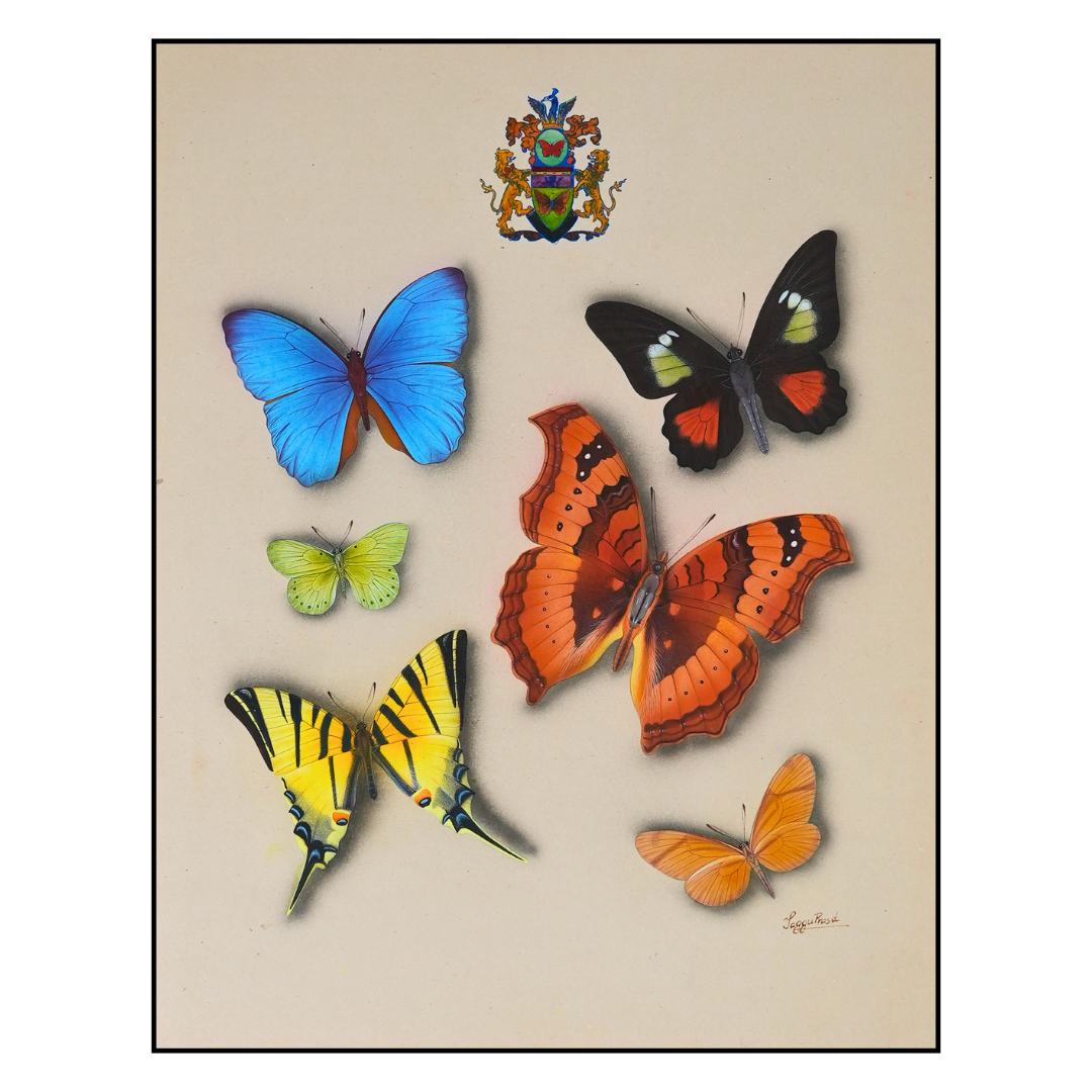 Symphony of Wings III