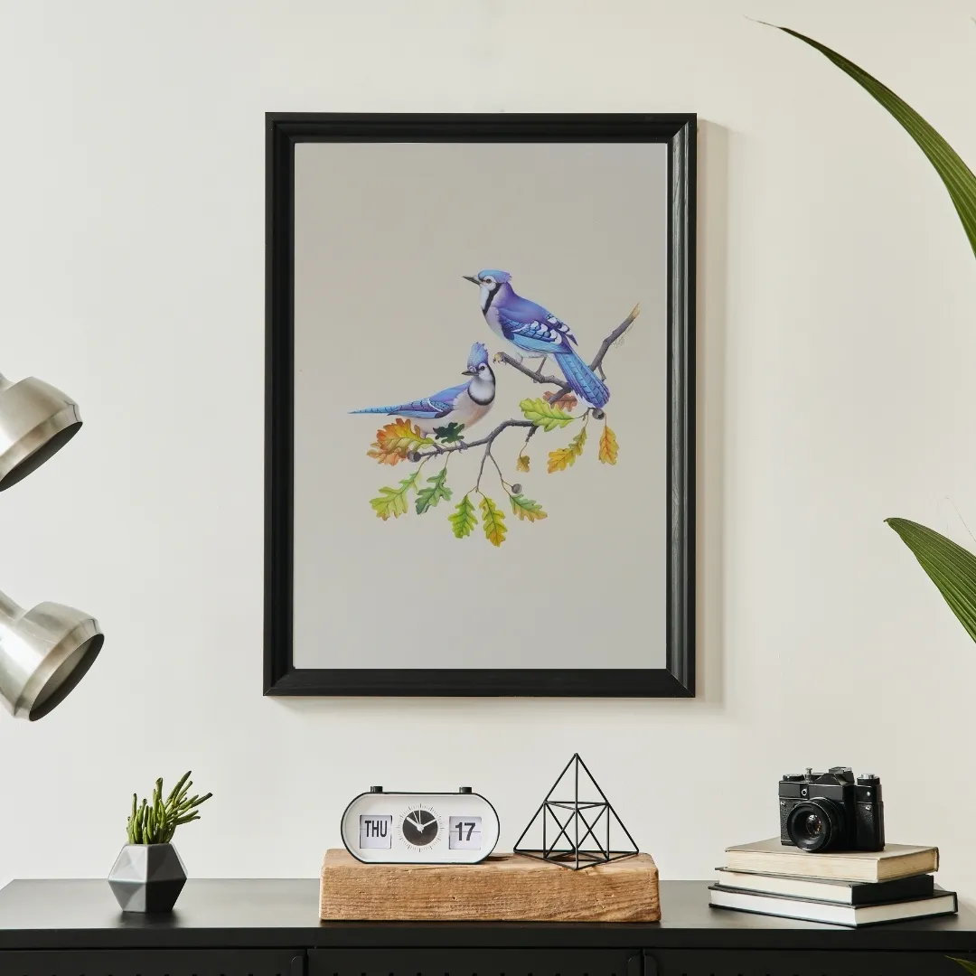 Blue Jay Companions