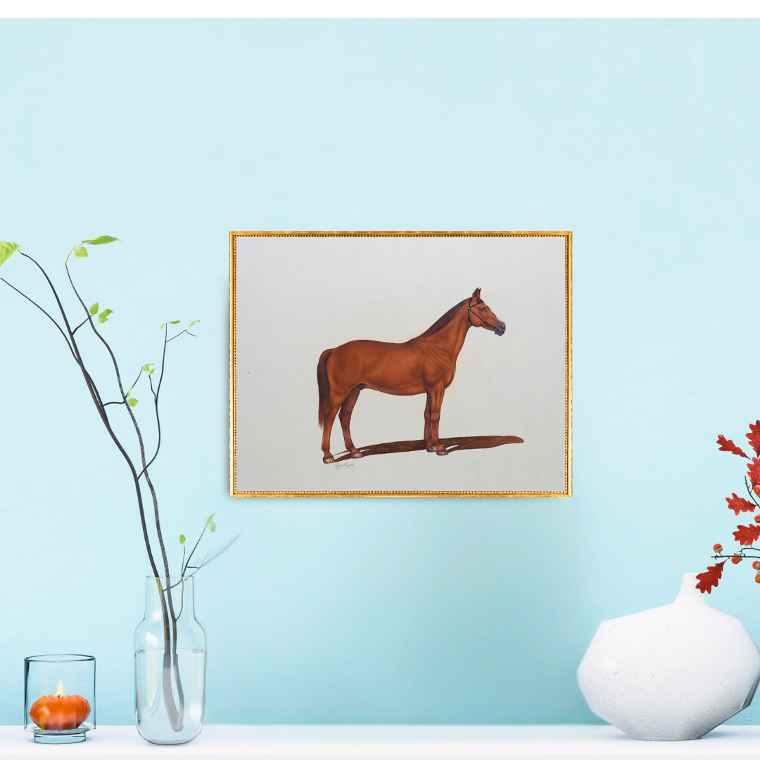 The Brown Silhouette Product Image