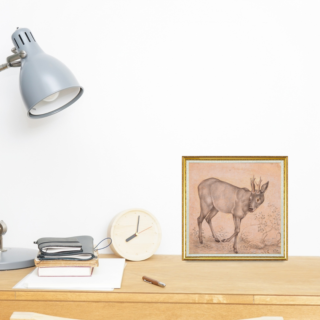 Gentle Step of the Young Stag