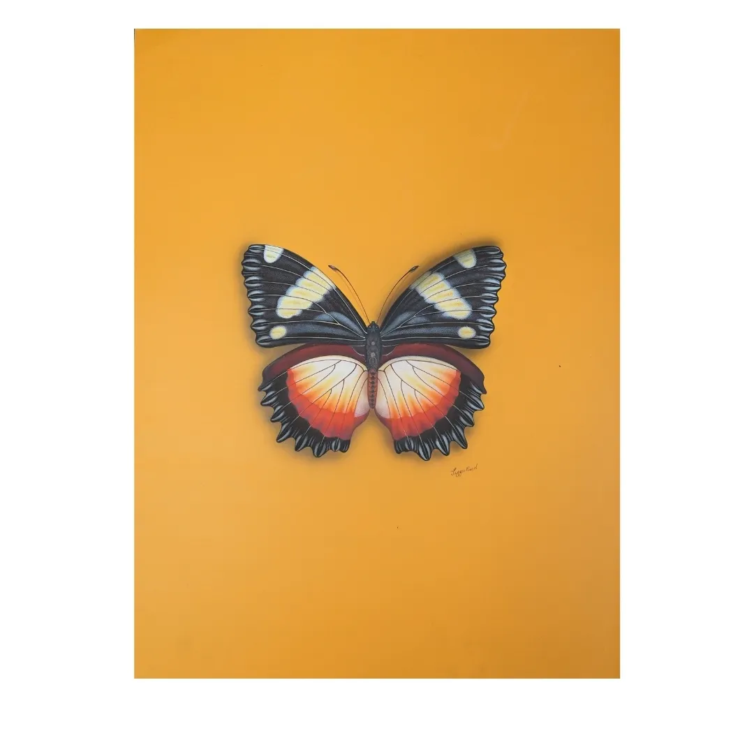 Radiant Wings 