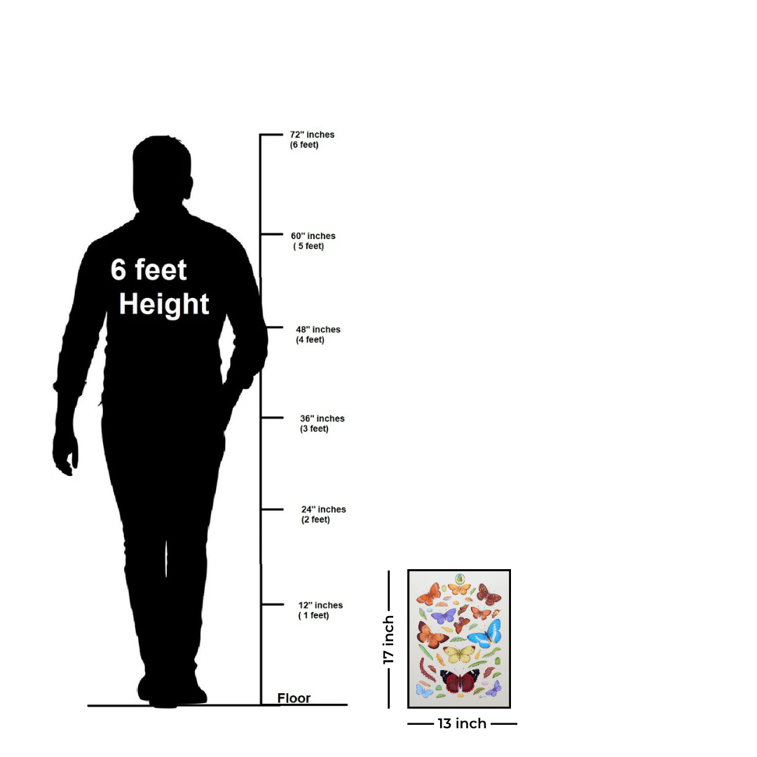 The Spring’s Flight