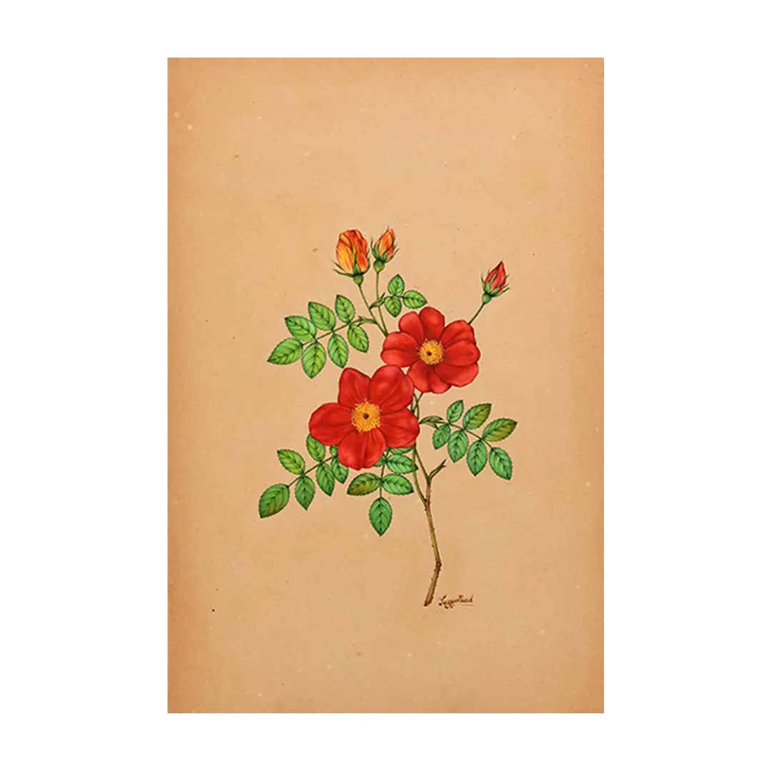 Crimson Rose Stem